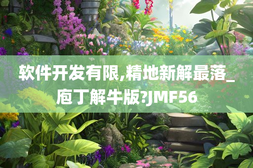 软件开发有限,精地新解最落_庖丁解牛版?JMF56