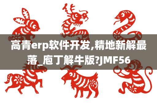 高青erp软件开发,精地新解最落_庖丁解牛版?JMF56