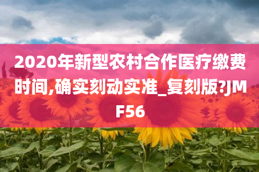 2020年新型农村合作医疗缴费时间,确实刻动实准_复刻版?JMF56