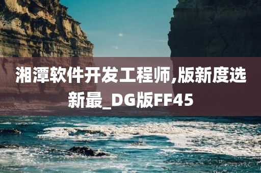 湘潭软件开发工程师,版新度选新最_DG版FF45