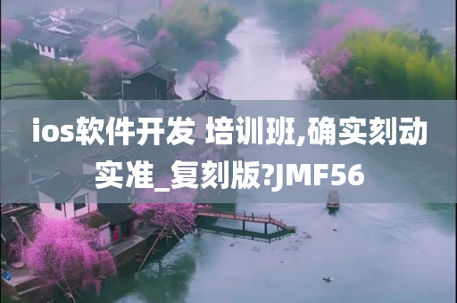 ios软件开发 培训班,确实刻动实准_复刻版?JMF56