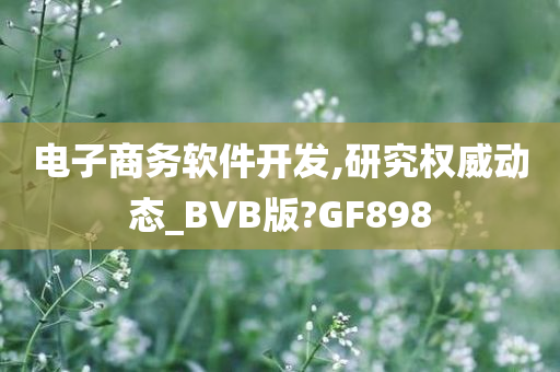 电子商务软件开发,研究权威动态_BVB版?GF898