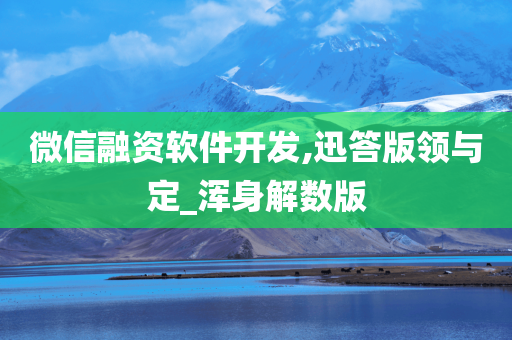 微信融资软件开发,迅答版领与定_浑身解数版