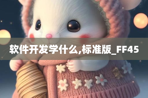 软件开发学什么,标准版_FF45