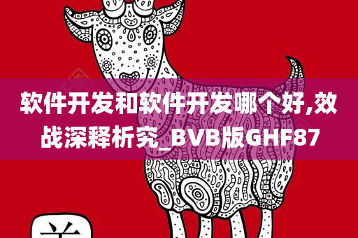 软件开发和软件开发哪个好,效战深释析究_BVB版GHF87