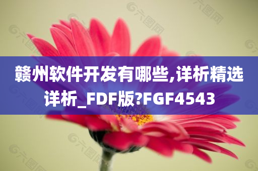 赣州软件开发有哪些,详析精选详析_FDF版?FGF4543