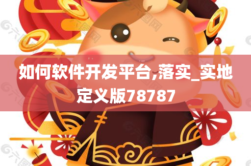 如何软件开发平台,落实_实地定义版78787