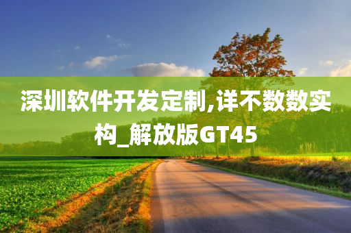 深圳软件开发定制,详不数数实构_解放版GT45