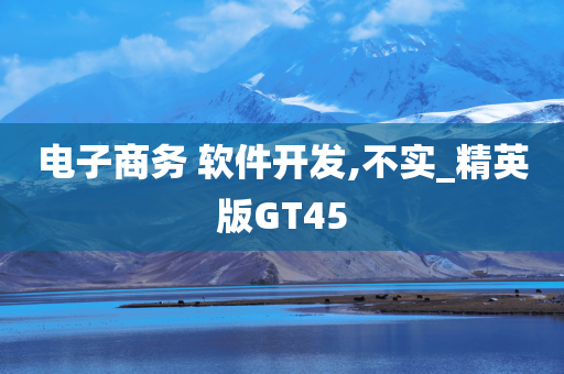 电子商务 软件开发,不实_精英版GT45