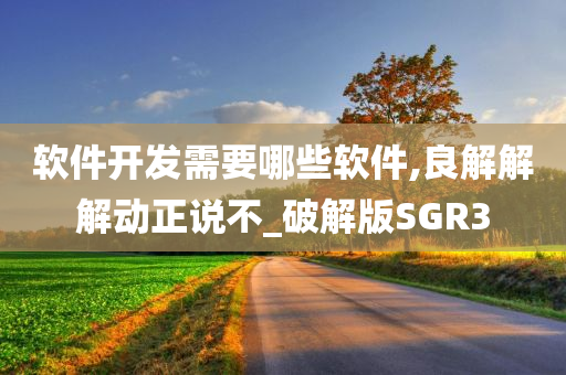 软件开发需要哪些软件,良解解解动正说不_破解版SGR3