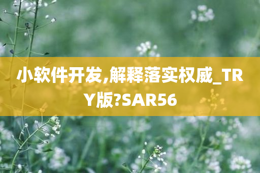 小软件开发,解释落实权威_TRY版?SAR56