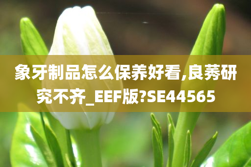 象牙制品怎么保养好看,良莠研究不齐_EEF版?SE44565