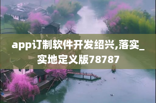 app订制软件开发绍兴,落实_实地定义版78787