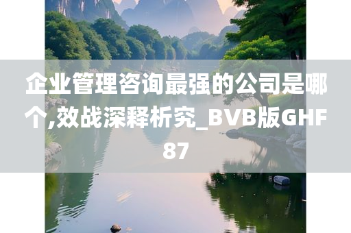 企业管理咨询最强的公司是哪个,效战深释析究_BVB版GHF87