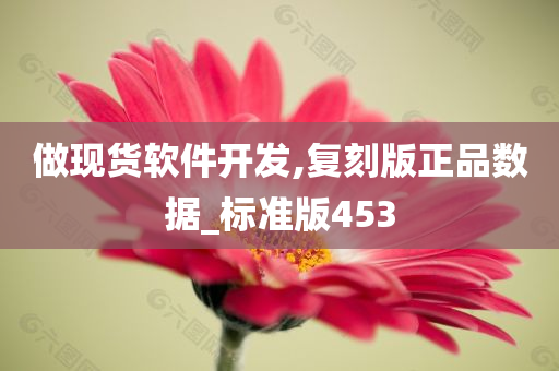 做现货软件开发,复刻版正品数据_标准版453