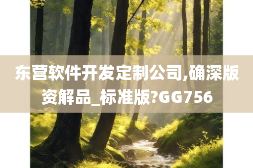 东营软件开发定制公司,确深版资解品_标准版?GG756