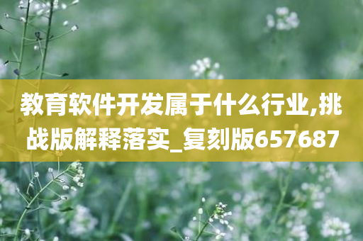 教育软件开发属于什么行业,挑战版解释落实_复刻版657687