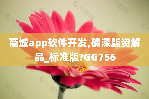 商城app软件开发,确深版资解品_标准版?GG756