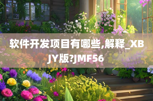 软件开发项目有哪些,解释_XBJY版?JMF56