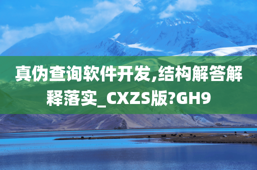 真伪查询软件开发,结构解答解释落实_CXZS版?GH9