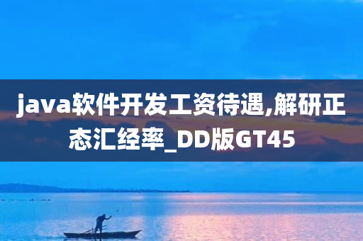 java软件开发工资待遇,解研正态汇经率_DD版GT45