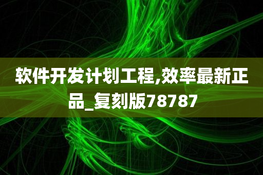 软件开发计划工程,效率最新正品_复刻版78787