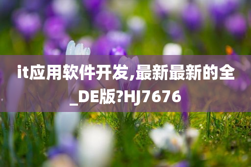 it应用软件开发,最新最新的全_DE版?HJ7676