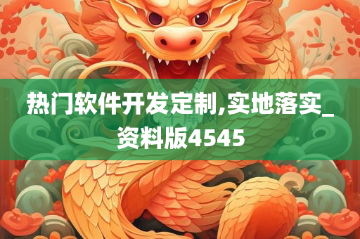 热门软件开发定制,实地落实_资料版4545