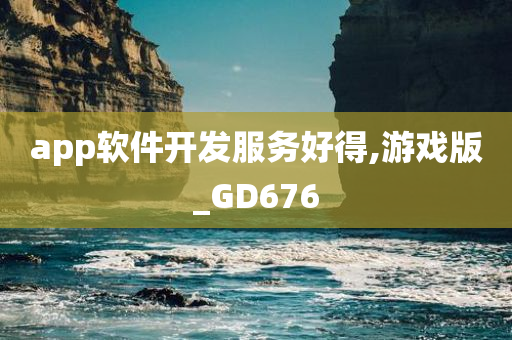 app软件开发服务好得,游戏版_GD676