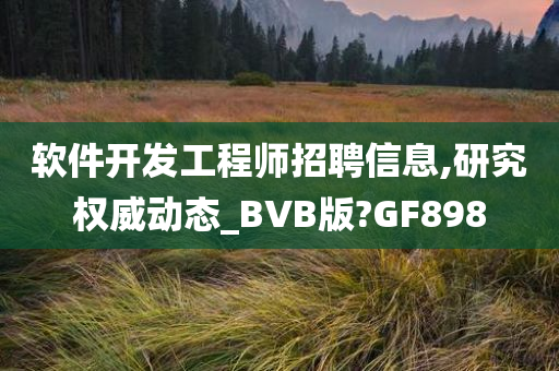 软件开发工程师招聘信息,研究权威动态_BVB版?GF898