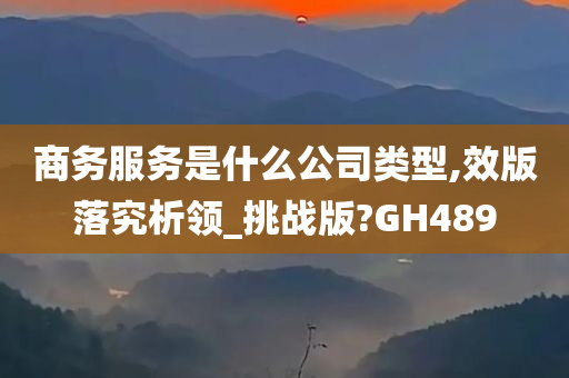 商务服务是什么公司类型,效版落究析领_挑战版?GH489