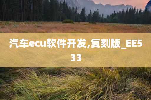 汽车ecu软件开发,复刻版_EE533