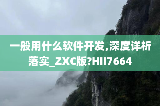 一般用什么软件开发,深度详析落实_ZXC版?HII7664