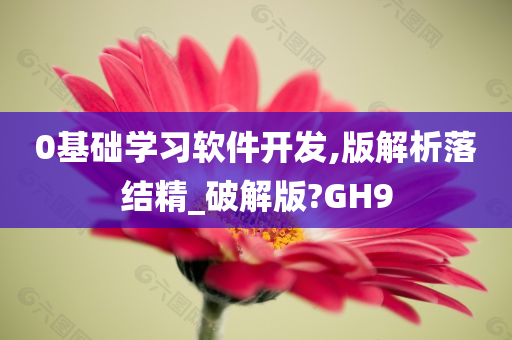 0基础学习软件开发,版解析落结精_破解版?GH9