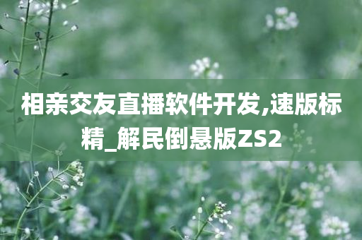 相亲交友直播软件开发,速版标精_解民倒悬版ZS2