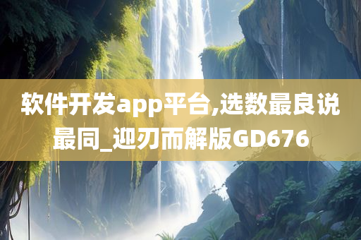 软件开发app平台,选数最良说最同_迎刃而解版GD676