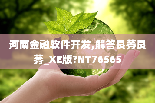 河南金融软件开发,解答良莠良莠_XE版?NT76565