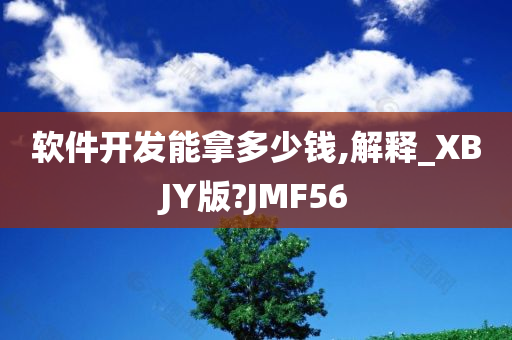 软件开发能拿多少钱,解释_XBJY版?JMF56