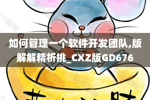 如何管理一个软件开发团队,版解解精析挑_CXZ版GD676