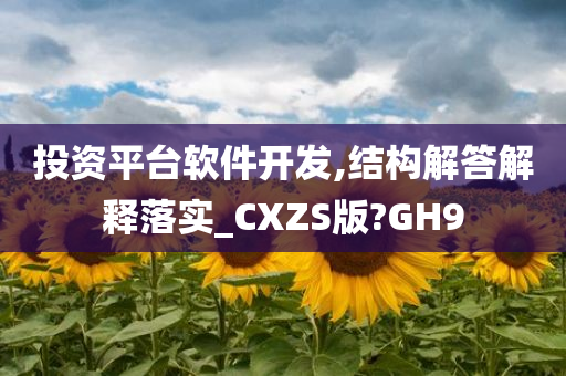 投资平台软件开发,结构解答解释落实_CXZS版?GH9