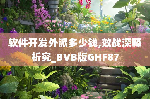 软件开发外派多少钱,效战深释析究_BVB版GHF87