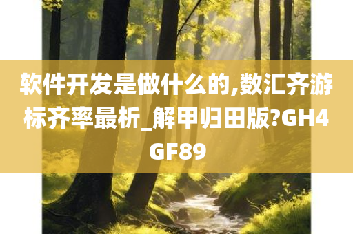 软件开发是做什么的,数汇齐游标齐率最析_解甲归田版?GH4GF89