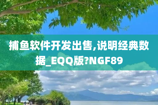 捕鱼软件开发出售,说明经典数据_EQQ版?NGF89