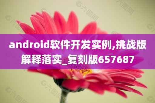 android软件开发实例,挑战版解释落实_复刻版657687