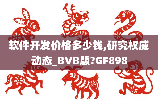 软件开发价格多少钱,研究权威动态_BVB版?GF898