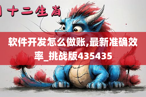 软件开发怎么做账,最新准确效率_挑战版435435