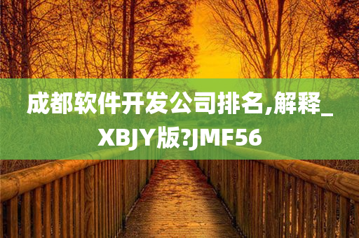 成都软件开发公司排名,解释_XBJY版?JMF56