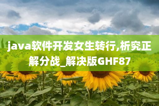 java软件开发女生转行,析究正解分战_解决版GHF87