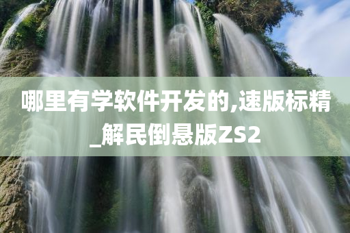 哪里有学软件开发的,速版标精_解民倒悬版ZS2