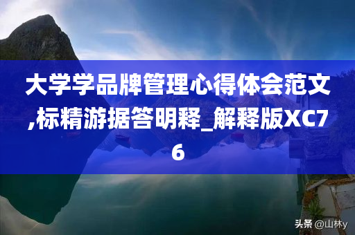 大学学品牌管理心得体会范文,标精游据答明释_解释版XC76